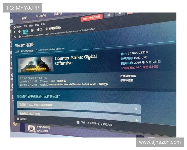 移除Steam游戏是否能解除VAC封禁？全面解析与解答